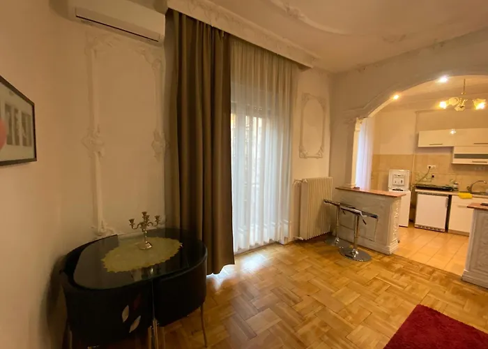 With Balcony And Ac Next To Danube