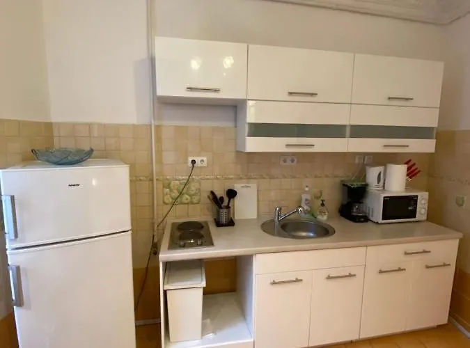 With Balcony And Ac Next To Danube